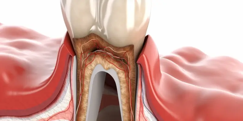 Endodoncja Szczecin