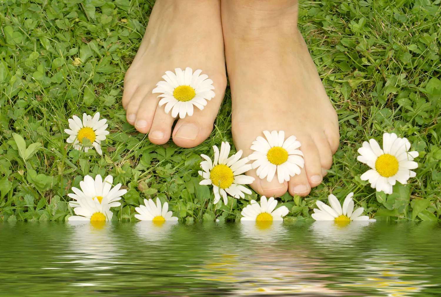 Dobry podolog Warszawa