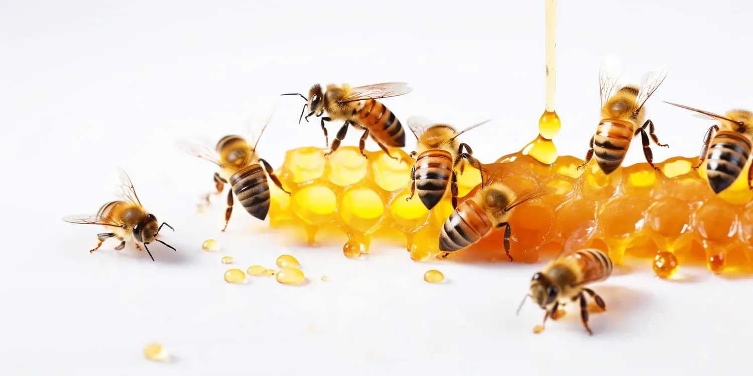 Jaki miód lepszy rzepakowy czy wielokwiatowy?